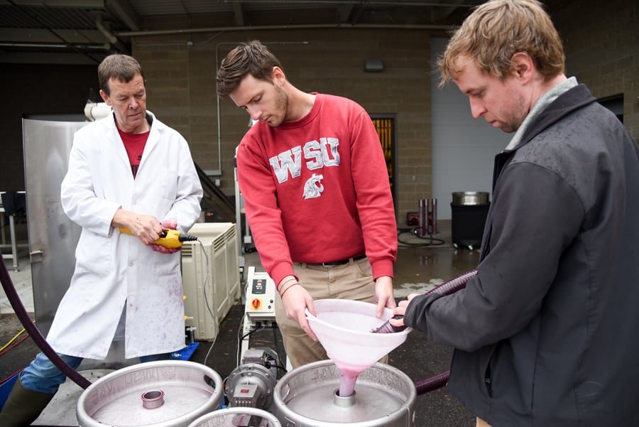 More students set sights on WSU degrees to launch wine industry careers