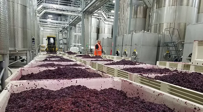 https://www.tricitiesbusinessnews.com/ext/resources/2018/06/JUNE_Forsyth-Wine-Manufacturing.webp?t=1699995026&width=696