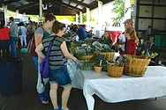 Pasco Farmers Market