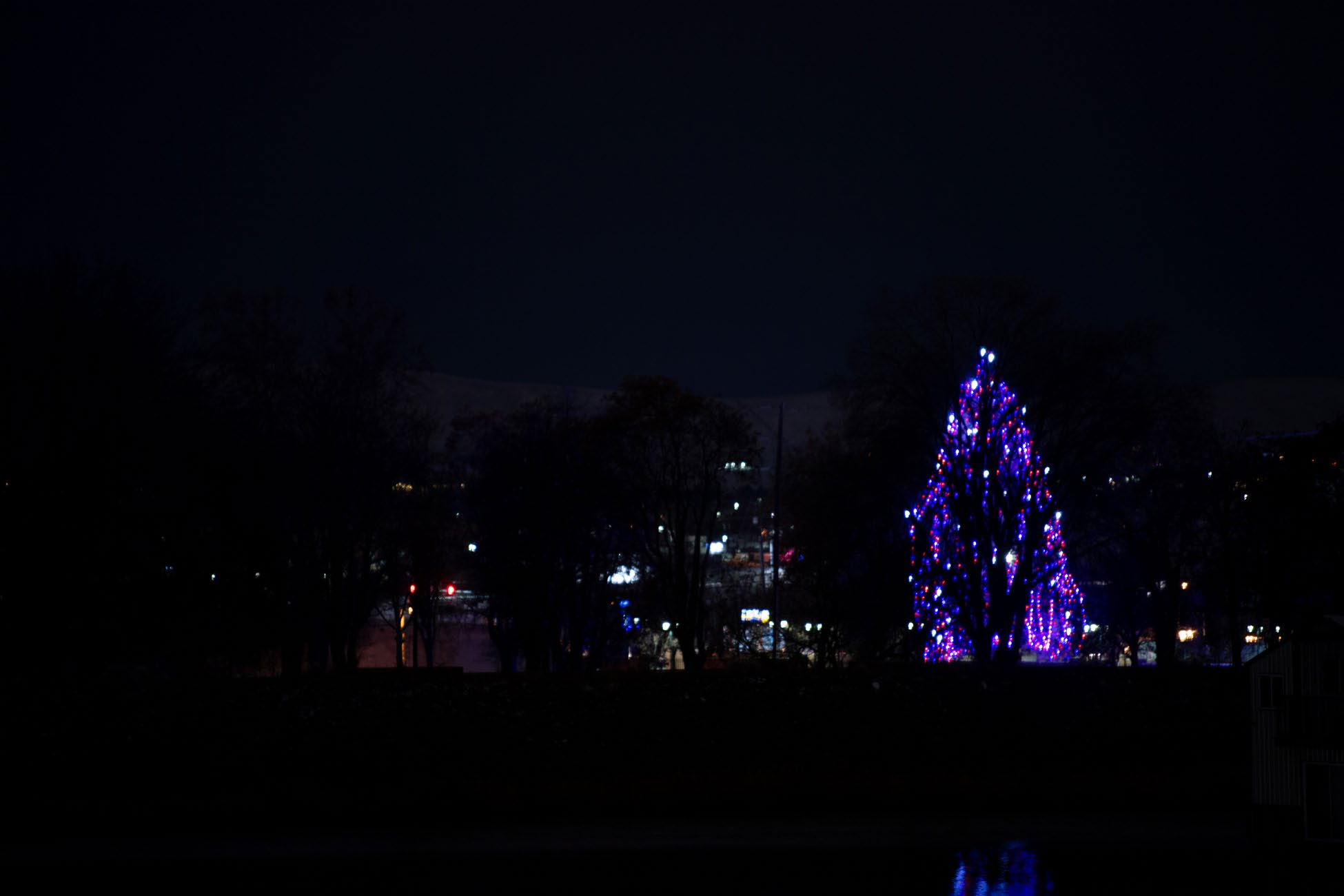 Christmas lights, tree brighten Kennewick waterfront TriCities Area