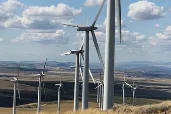 Scout energy turbines