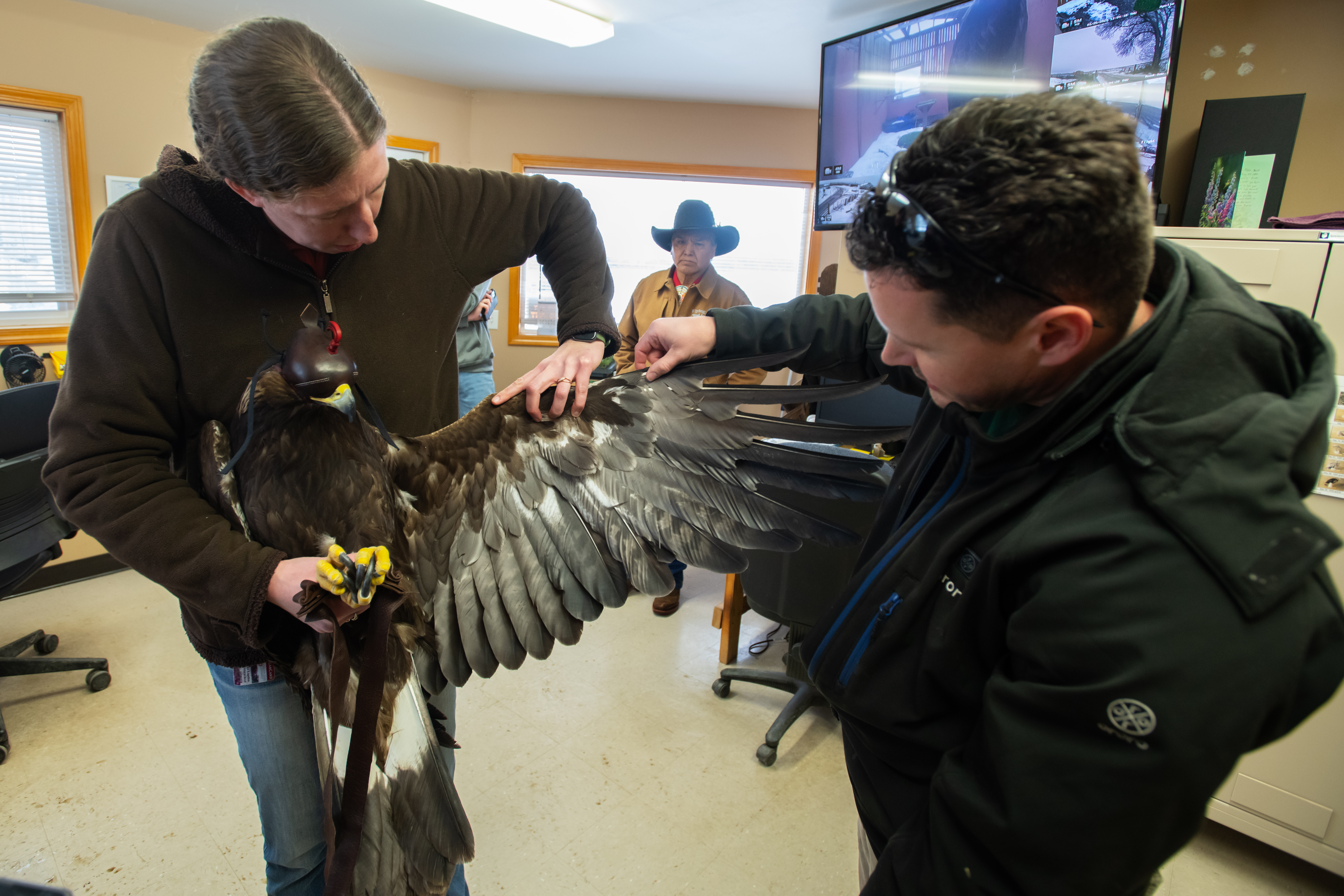 Wildlife experts look at eagle's rehabilitated wing as tribal member looks on.