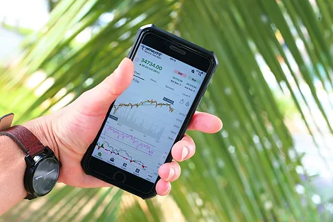 Man holding phone with stock market data on it in front of palm tree.
