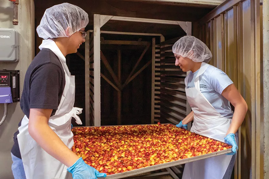Chukar Cherries with workers.jpg