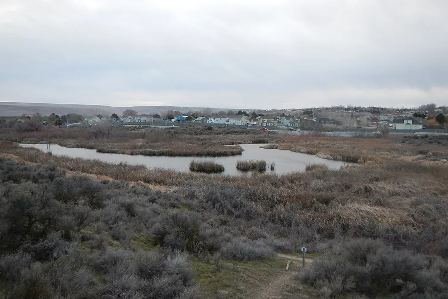 The west fork of Amon Creek near Richland.
