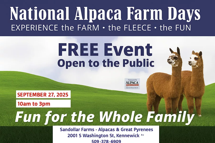 Alpaca Farm Days