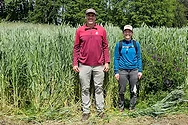 Two people standing next to crops.