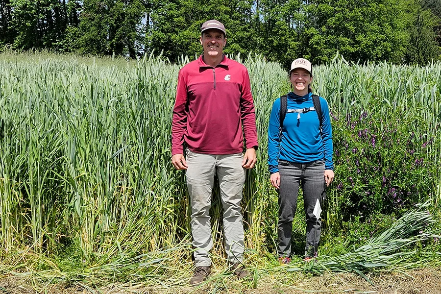 Two people standing next to crops.