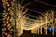 Holiday lights