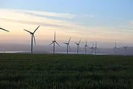 Wind turbines in a field.