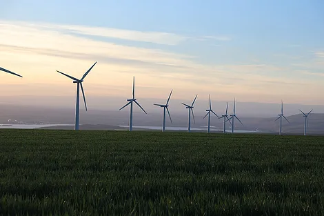 Wind turbines in a field.