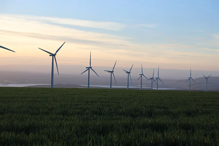 Wind turbines in a field.