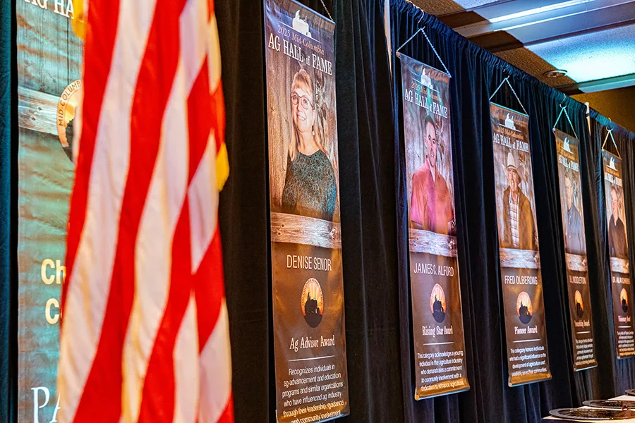 Banners of past winners.