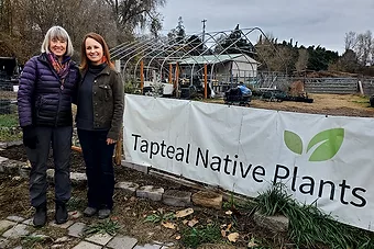 Tapteal native plants