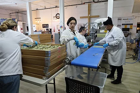 Several women with a conveyor belt and pasta.