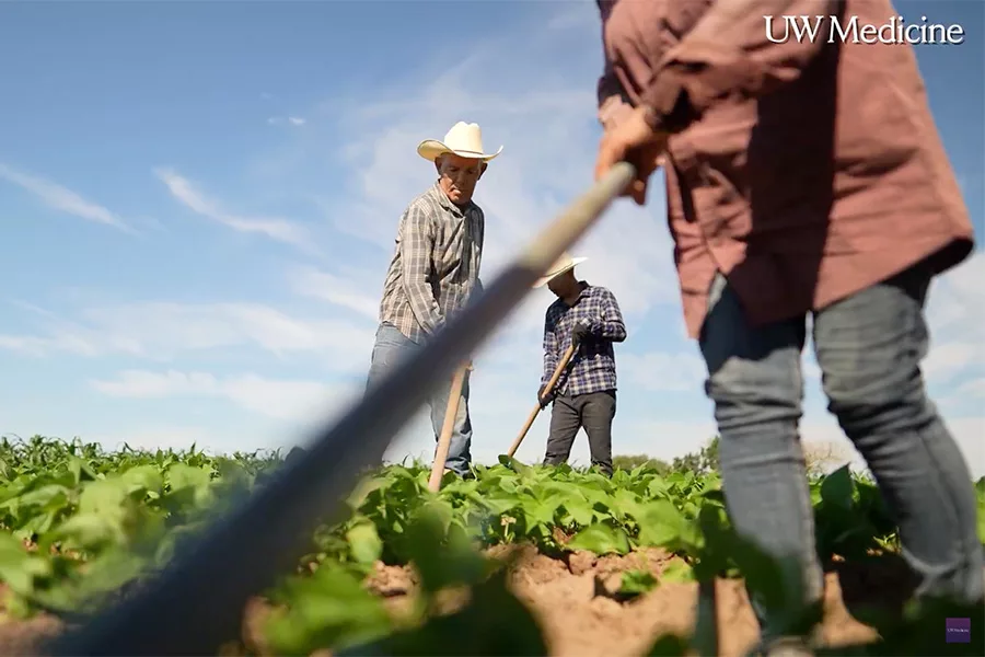 Workers in a field.
