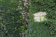 CBC-Arts A vine-covered wall with a sign that says, "Art Gallery Theatre".