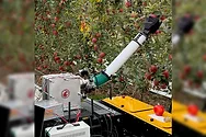 A robot arm picking apples.