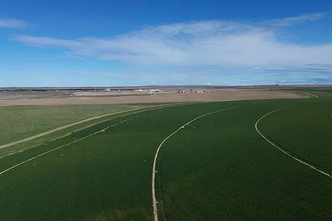 An empty field.