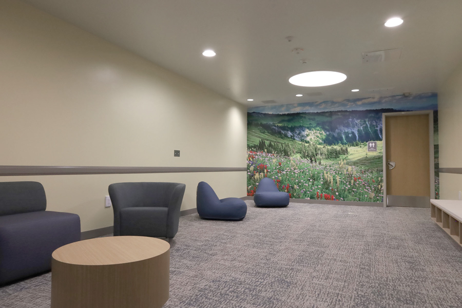 Recovery center room with a field mural.