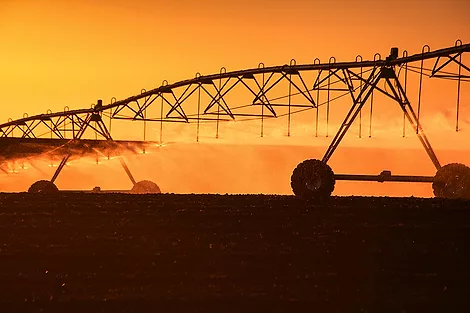 Irrigation Sunset