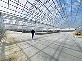 Man standing in greenhouse.