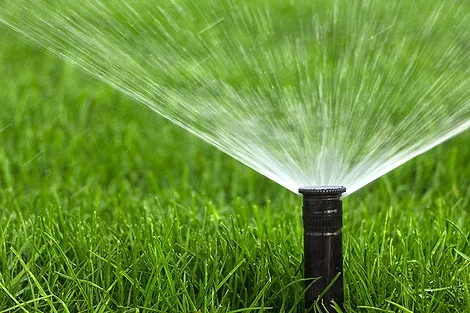YardAutomaticSprinkler.jpg