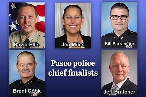 An image with all the finalists.