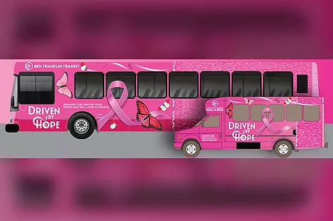 Pink buses.