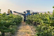 A grape harvesting machine.