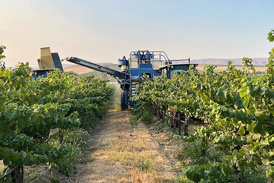 A grape harvesting machine.