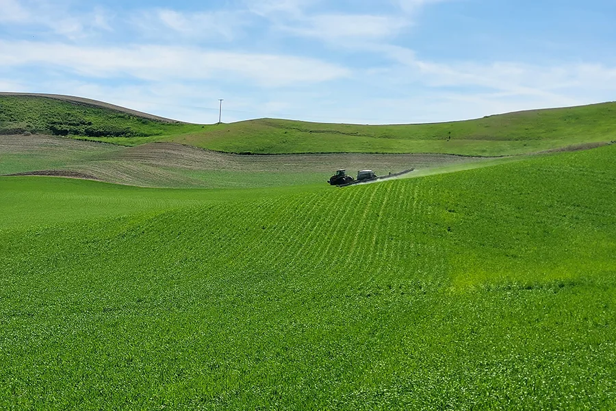 A tractor in a wheat field.