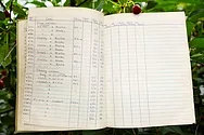 Notebook-with-cherries Notebook with cherries.