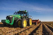 A tractor in a potato field.