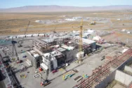 Vit plant july 26