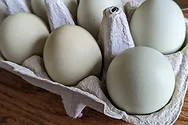 Eggs.