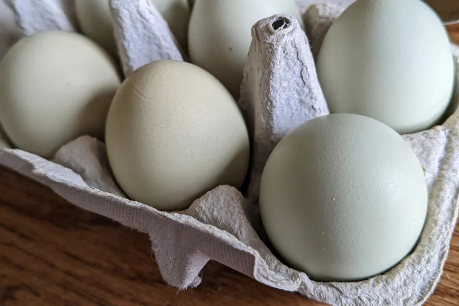 Eggs.