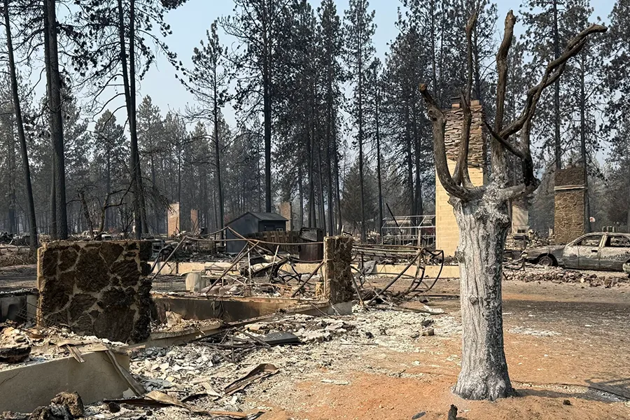 A neighborhood burned down.