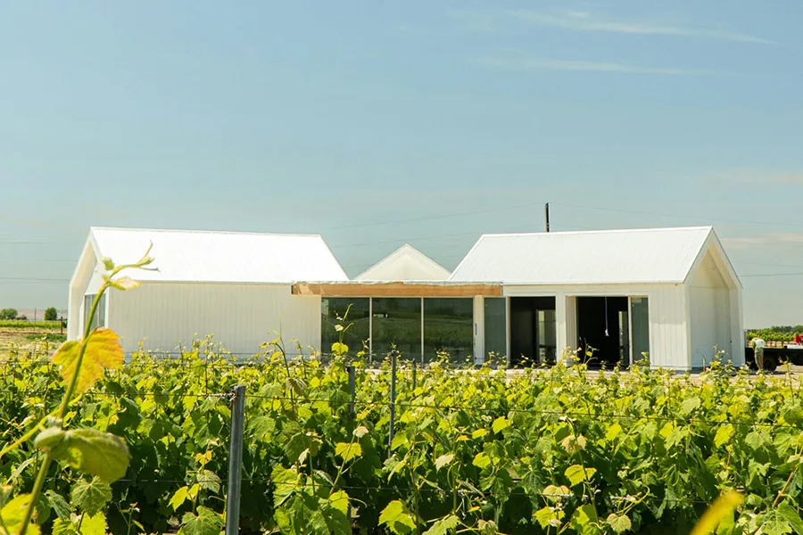 Bledsoe-new-tasting-room