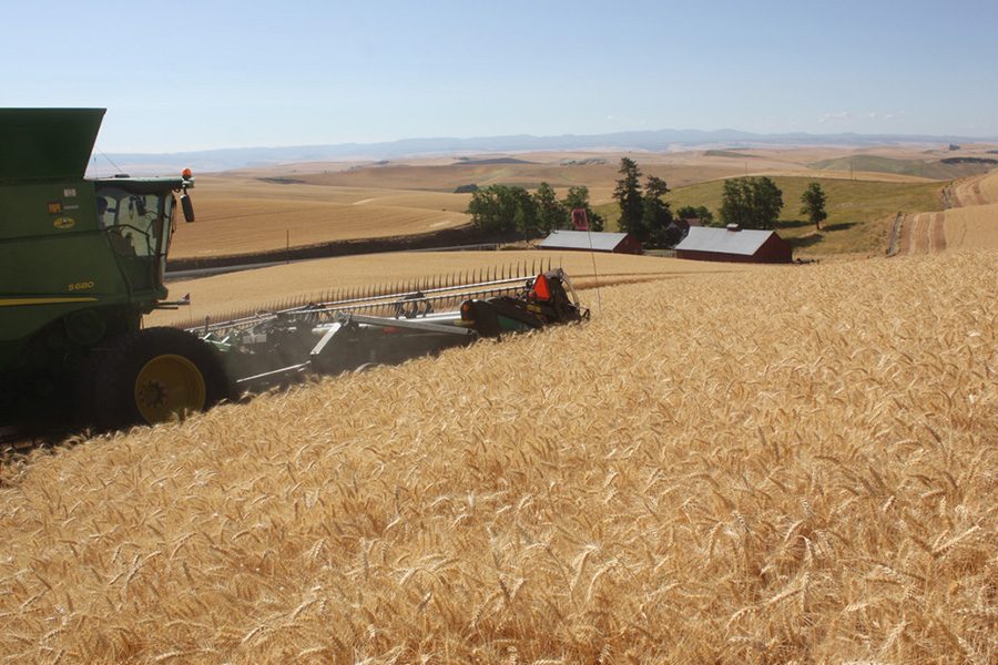 Soaring diesel prices hit WA family farms' bottom line