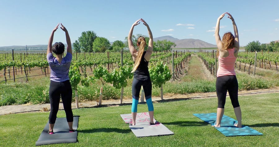 Thrive Fitness Adventure’s first event series, Yoga in the Vines, is a unique wine country wellness and fitness experience that combines hiking, yoga, and wine tasting.
