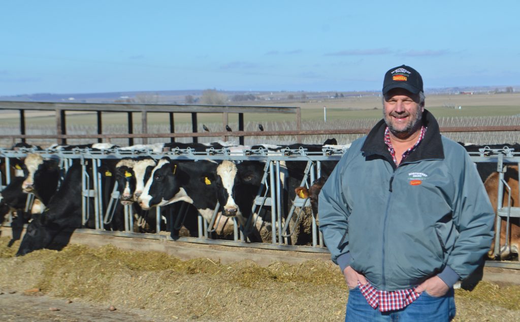 Milk is the second-highest agricultural commodity in Washington, with a total production value of $1.1 billion in 2016. Ed Zurcher, owner of Zurcher Dairy in Basin City, one of about 400 dairy farms across the state, said his cows are milked twice a day, with the process beginning at 4 a.m. and cycling through all the cows before starting again at 4 p.m., seven days a week. (Photo: Robin Wojtanik)