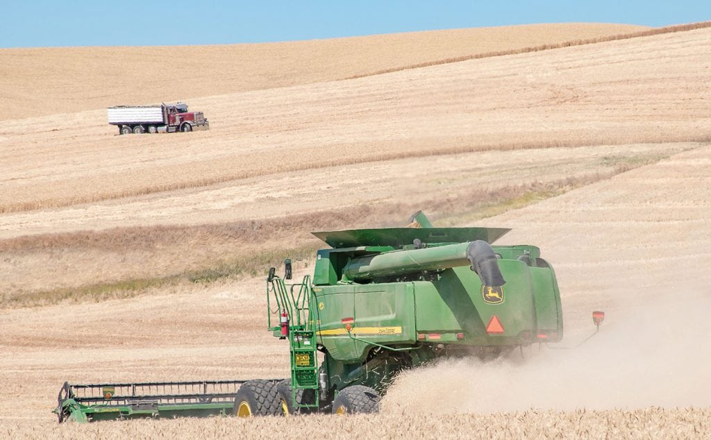 Favorable growing conditions allow Washington wheat growers to produce some of the highest yields in the nation. (Photo: Washington State Department of Agriculture)