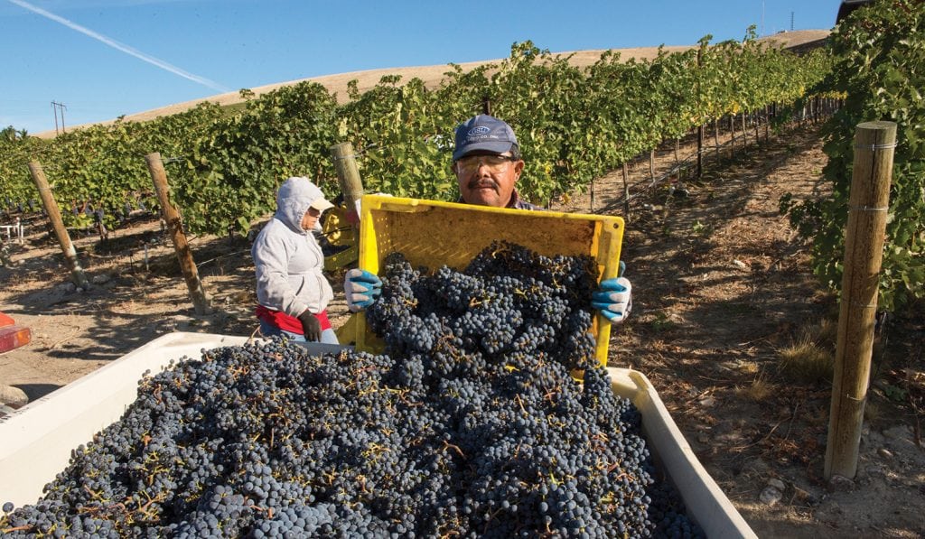 The average annual wage for those working in agriculture in Benton County in 2016 was $27,300, and in Franklin County it was $28,150. (Photo: Washington State Wine Commission/Andrea Johnson Photography)