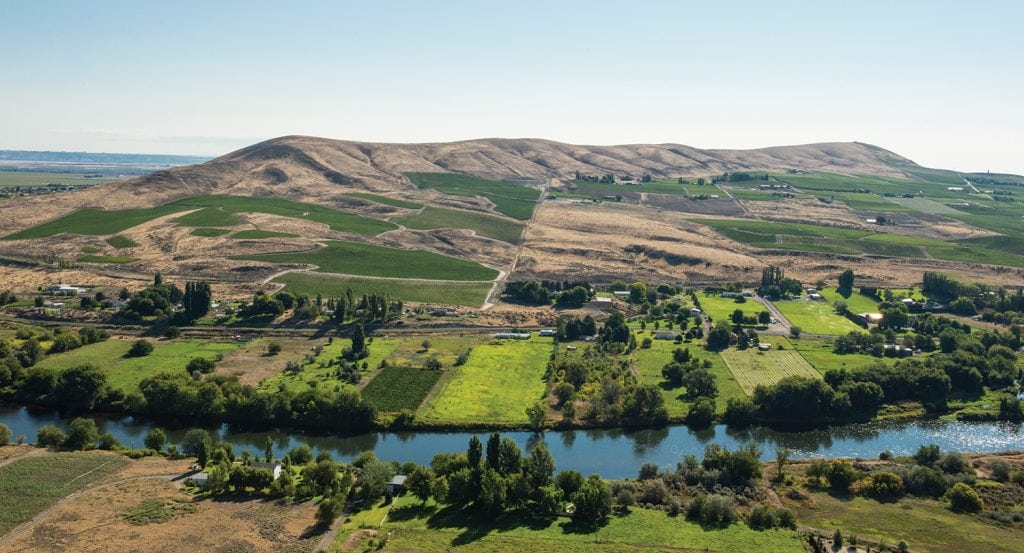 Red Mountain, between Benton City and West Richland, was designated a sub-American Viticultural Area in 2001. It now boasts 54 vineyards covering more than 2,300 acres. (Photo: Washington State Wine Commission/Andrea Johnson Photography)