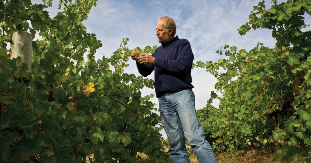 Kent Waliser, director of vineyard operations for Sagemoor Vineyards, just north of the Tri-Cities, grows 60 percent of its grapes for red wine and 40 percent for white wines. (Photo: Washington State Wine Commission/Andrea Johnson Photography)