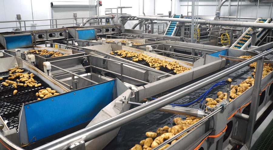 Workers who operate a potato processing line at Lamb Weston are employed in non-durable manufacturing, an industry that saw little growth in the past year locally. (Courtesy Lamb Weston)