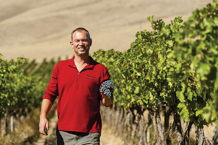 Gilles Nicault, the acclaimed French winemaker behind every bottle produced by famed Long Shadows Vintners in Walla Walla, holds a sample of grapes collected from Candy Mountain Vineyard near Richland. (Photo courtesy Richard Duval Images)