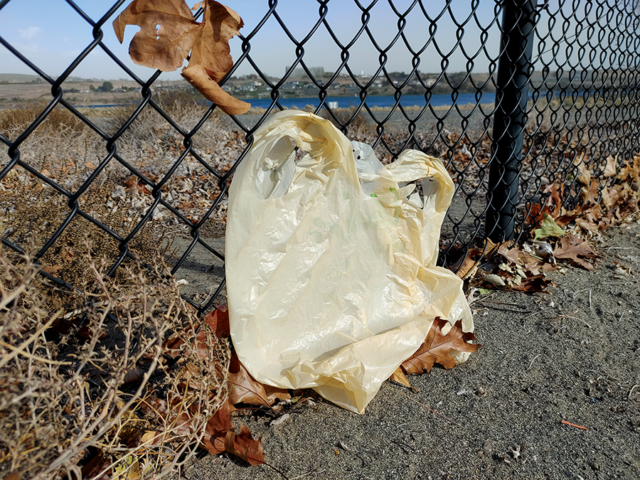 Washington is set to ban single use plastic shopping bans on Jan. 1, but supporters expect a delay because of the pandemic and a possible shortage of bags made with postconsumer recycled paper. (Photo by TCAJOB)