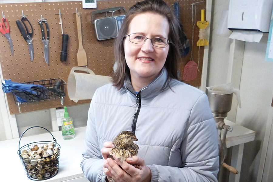 Carmen Kane, owner of
Columbia Quail LLC, holds a Japanese
coturnix quail in front of a basket of
eggs. Her small fl ock supplies eggs by
the dozen to several Tri-City retailers. (Courtesy Columbia Quail)